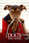 A Dog's Way Home SD Digital Code (2019) (Redeems in Movies Anywhere; SD Vudu Fandango at Home & SD iTunes Apple TV Transfer From Movies Anywhere) (THIS IS A STANDARD DEFINITION [SD] CODE)