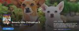 Beverly Hills Chihuahua 3: Viva La Fiesta! HD Digital Code (2012) (Redeems in Movies Anywhere; HDX Vudu Fandango at Home & HD iTunes Apple TV Transfer From Movies Anywhere)