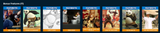 Kung Fu Panda HD Digital Code (2008) (Redeems in Movies Anywhere; HDX Vudu Fandango at Home & HD iTunes Apple TV Transfer From Movies Anywhere)