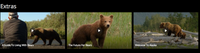 Disneynature Bears Google TV HD Digital Code (Redeems in Google TV; HD Movies Anywhere & HDX Vudu & HD iTunes Transfer Across Movies Anywhere)