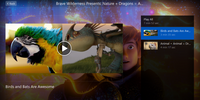 How To Train Your Dragon: The Hidden World HD Digital Code (Redeems in Movies Anywhere; HDX Vudu & HD iTunes & HD Google Play Transfer From Movies Anywhere)