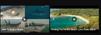 The Shallows HD Digital Code (Redeems in Movies Anywhere; HDX Vudu & HD iTunes & HD Google TV Transfer From Movies Anywhere)