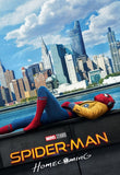 Spider-Man: Homecoming HD Digital Code (Redeems in Movies Anywhere; HDX Vudu & HD iTunes & HD Google TV Transfer From Movies Anywhere)
