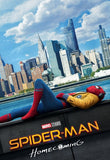 Spider-Man: Homecoming 4K Digital Code (Redeems in Movies Anywhere; UHD Vudu & 4K iTunes & 4K Google TV Transfer From Movies Anywhere)